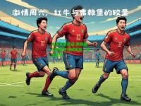 电竞竞猜官网:弗赖堡主帅解约传闻再起，球迷震惊