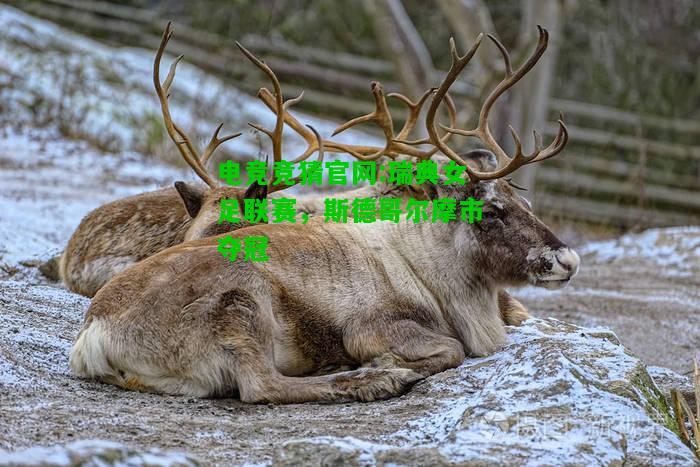 电竞竞猜官网:瑞典女足联赛，斯德哥尔摩市夺冠